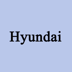 Hyundai Inner Fender Liner